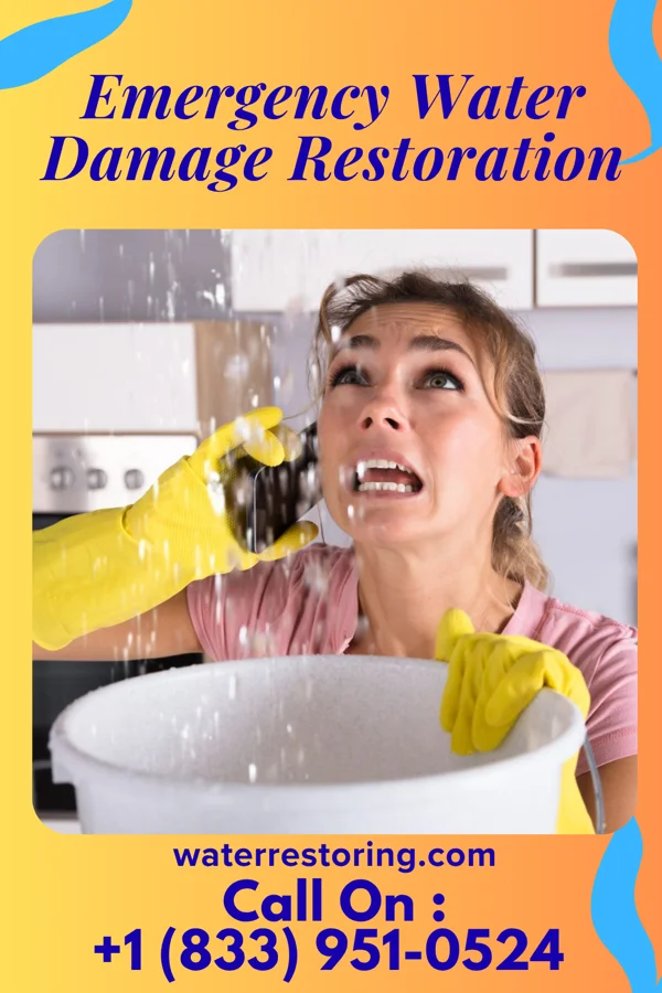 Emergency Water Damage Restoration in Social Circle, GA