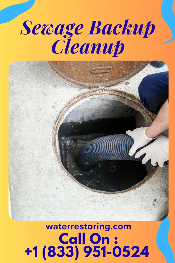 Sewage Backup Cleanup in Social Circle, GA